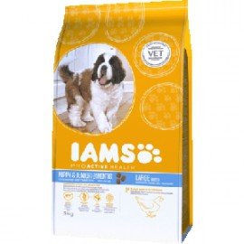 AMS Trockenfutter für Hunde, Junior, große Rasse, Proactive Health mit Huhn | Hundemat på nett